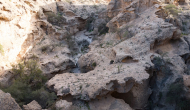 DSC05180