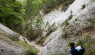 11-DSC05704