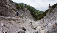 17-DSC05713