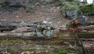 31-DSC05733