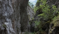 44-DSC05752