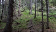 08-DSC05988