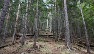 10-DSC05990