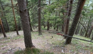 11-DSC05991