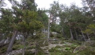 12-DSC05992