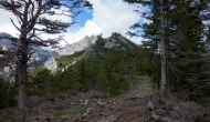 14-DSC05994