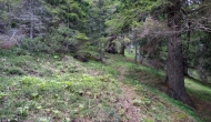15-DSC05996