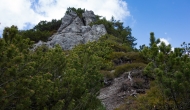 17-DSC06000