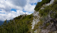 19-DSC06003