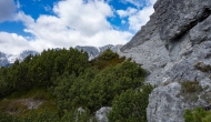 20-DSC06005