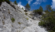 26-DSC06013