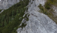 30-DSC06020