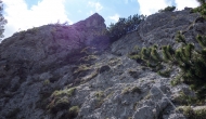 35-DSC06026