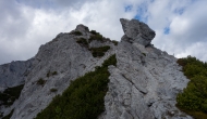 59-DSC06061