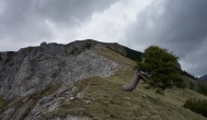 67-DSC06074