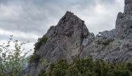 69-DSC06081