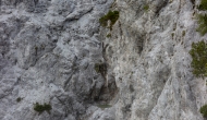 75-DSC06091