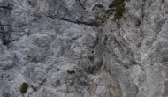 81-DSC06097