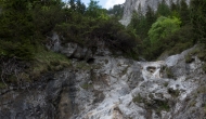 84-DSC06100