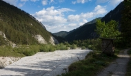 91-DSC06110