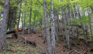 005-DSC06123