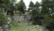 016-DSC06147