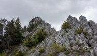 017-DSC06148