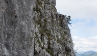 035-DSC06175