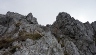 037-DSC06177