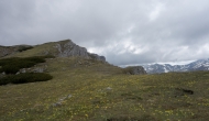 071-DSC06227