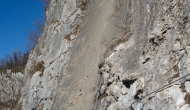 41-DSC04373