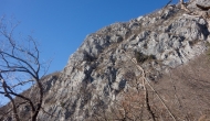 62-DSC04405