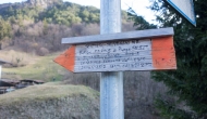 03-DSC04411