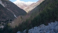 06-DSC04415