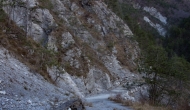 11-DSC04420