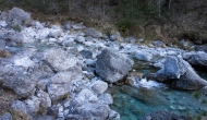 12-DSC04421