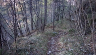 13-DSC04422