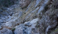 14-DSC04424