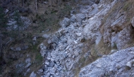 15-DSC04425