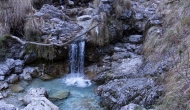 17-DSC04430