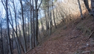 20-DSC04433