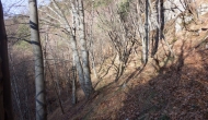 21-DSC04434