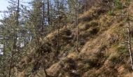 25-DSC04442