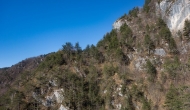 28-DSC04447