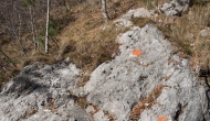 30-DSC04451
