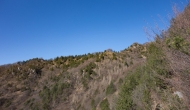 31-DSC04452