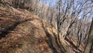37-DSC04460