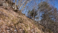 38-DSC04461