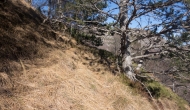 43-DSC04467