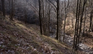 46-DSC04470